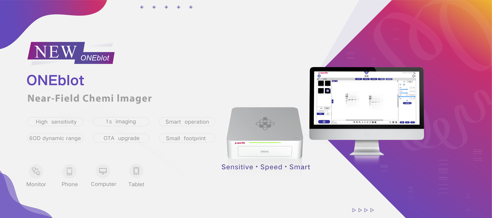 OneBlot Western Blot System